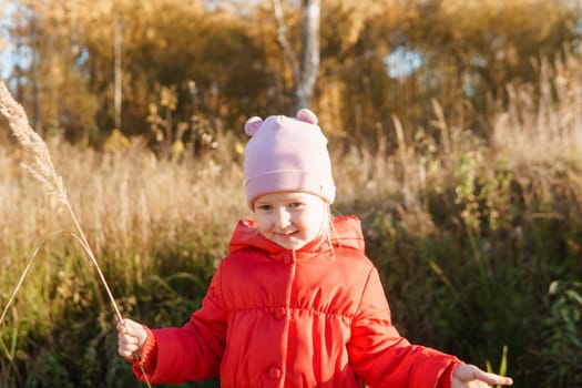 A little girl in a red coat walks in nature in an autumn grove. The season is autumn.