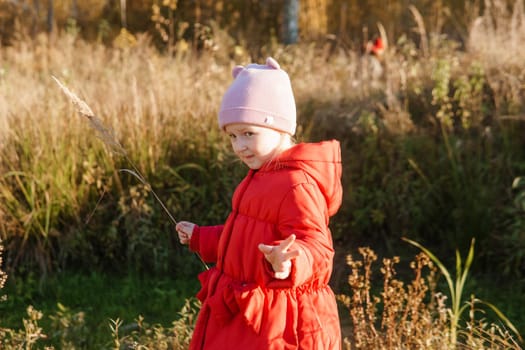 A little girl in a red coat walks in nature in an autumn grove. The season is autumn.