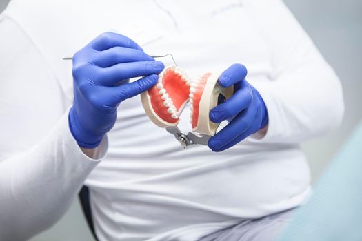 Dentures jaw model in hands of unrecognizable dentist