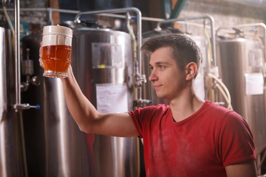 Young professional brewer examining beer in a mug he is holding, working at microbrewery
