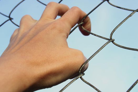 Close-up woman's hand holding on to the bars of a metal mesh