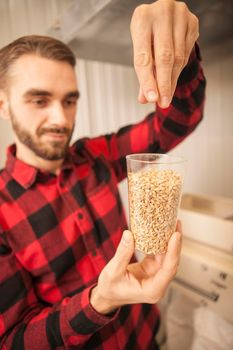 Vertical shot of a handsome bearded brewer examining barley seeds, working at his beer factory