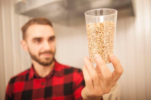 Selective focus on barley seeds in a glass male brewer is examining