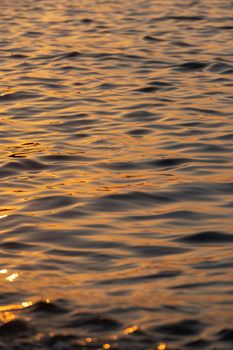 Ripple sea ocean water surface with golden sunset light. Sea waves close up