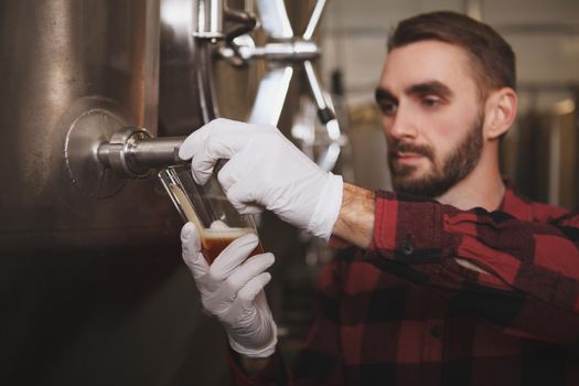 Professional brewer pouring beer into glass from beer tank at his brewery