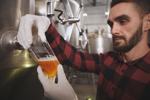 Brewer pouring freshly brewed beer into glass, tasting beer at his microbrewery