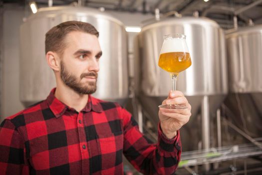 Bearded brewer examining delicious freshly brewed beer in a glass, working at his microbrewery
