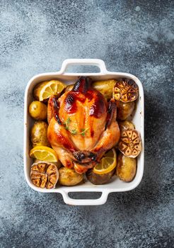 Close-up of baked or roasted whole juicy crispy organic chicken with potatoes, garlic, lemon in white casserole dish on concrete rustic background, top view