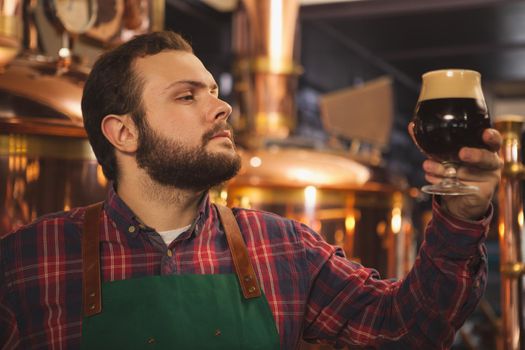 Young bearded brewer wearing apron working at his brewery, examining dark beer in a glass. Professional beermaker producing delicious craft beer. Occupation, entrepreneurship, service concept