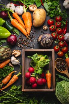 Radish and carrot fresh bunch in old wooden box and fresh farm organic vegetables on rustic black concrete background. Autumn harvest, vegetarian food or clean healthy eating concept, top view