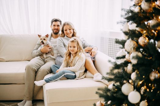 Happy family: mom, dad and pet. Family in a bright New Year's interior with a Christmas tree.