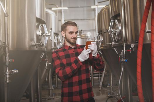 Handsome professional brewer examining freshly brewed beer in a glass at his microbrewery