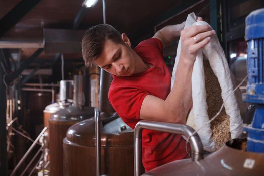 Young male brewer pouring barley into metal container, manufacturing craft beer