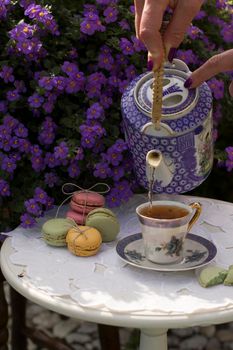 outdoor picnic with a cup of herbal tea and macaroon cakes, a woman's hand pours tea from a teapot into a cup. High quality photo