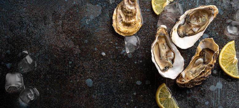 Fresh open oysters served with lemon wedges and ice cubes on rustic stone background top view, seafood oyster bar concept, space for text template.