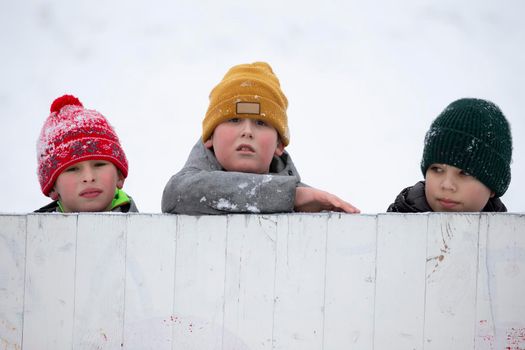 Three funny little boys are watching from behind the fence.