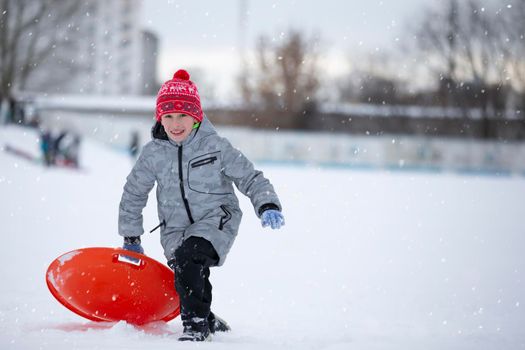 Child in winter. The boy is sledding.