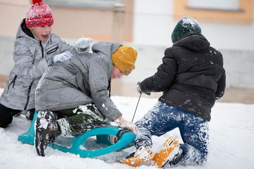 Children in winter. Boys friends are sledding.