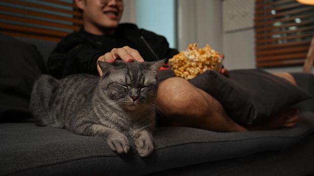 A lovely cat sitting on couch and man watching movie at night. Entertainment and leisure activity concept.