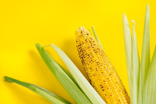Roasted corn on a yellow background. Bright Food