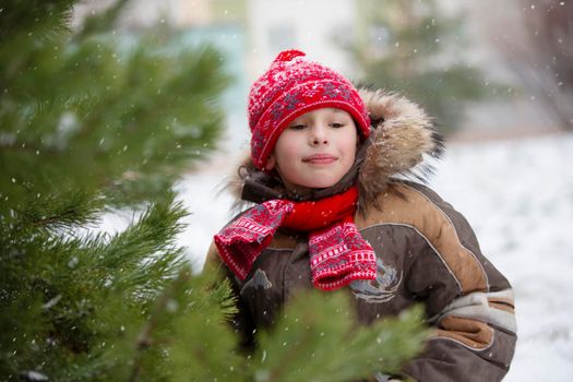 Funny little boy among the snow-covered Christmas trees. Child in winter.