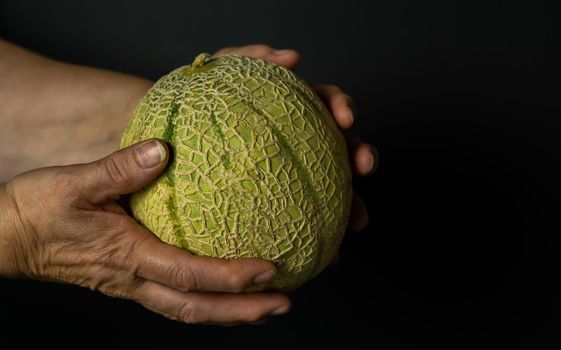 cantaloupe melon on black background dark food