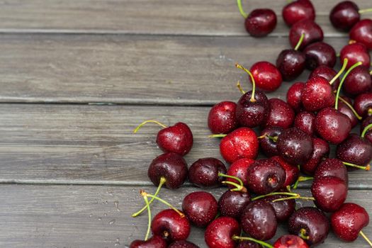 fresh red summer cherries with water drops