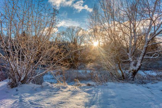 The cool winter morning landscape, Jihlava Vysocina, Czech Republic Europe