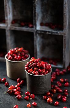 Rosehip in the cup. Benefits and used as a natural remedy. Natural therapy. dark mode style.