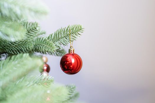 interior christmas. magic tree, and gifts.