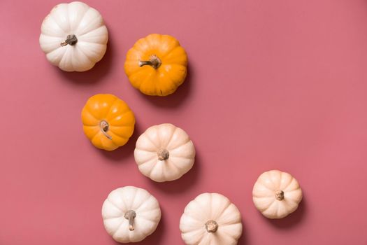 Group of decorative pumpkins top view on pink background. Autumn flat lay.