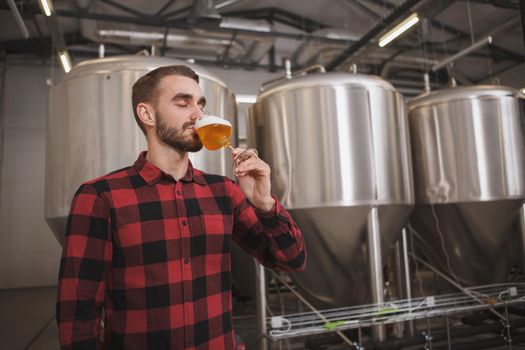 Bearded brewer tasting freshly brewed beer at microbrewery, metal tanks on background