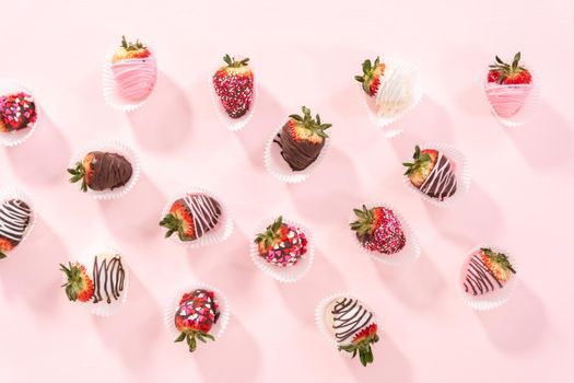 Flat lay. Variety of chocolate dipped strawberries on a pink background.