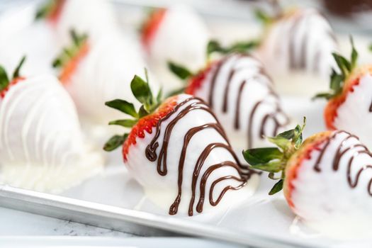 Organic strawberries dipped in chocolate drying on a parchment paper.