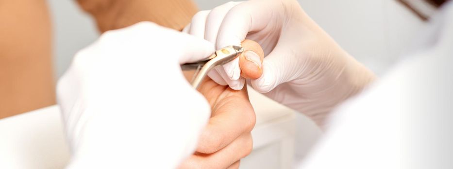 Close up of manicure master with manicure nipper cuts cuticles of female nails at beauty salon