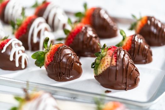 Organic strawberries dipped in chocolate drying on a parchment paper.