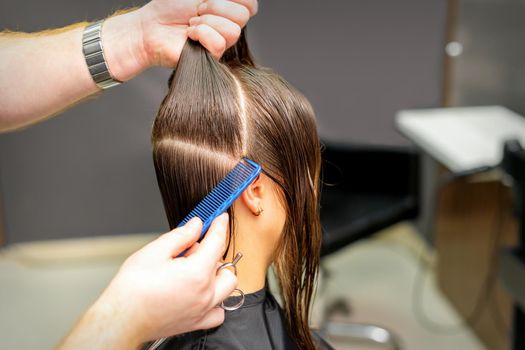 Male coiffeur divides women hair into sections with comb and hands in a beauty salon