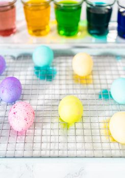 Easter egg coloring. Dye white organic eggs in different colors for Easter.