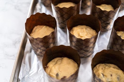 Rising dough in paper liners to bake mini Easter bread kulich.