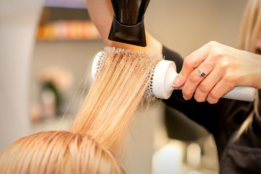 Professional hairdresser dry hair with a hairdryer and round hairbrush in a beauty salon