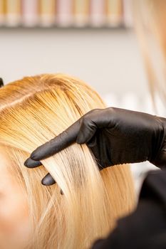 A hairdresser is combing female hairstyling in a hairdressing beauty salon