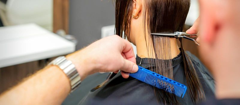 The male hairdresser cuts back female client's hair with scissors and comb in a beauty salon