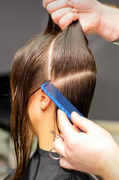 Male coiffeur divides women hair into sections with comb and hands in a beauty salon