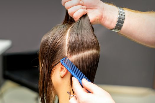Male coiffeur divides women hair into sections with comb and hands in a beauty salon