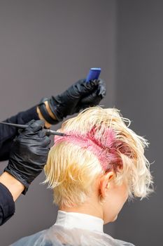 Hairdresser colors female blonde hair in pink color at a beauty salon