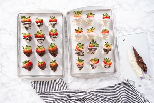 Flat lay. Organic strawberries dipped in chocolate drying on a parchment paper.