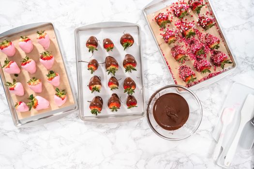 Flat lay. Preparing chocolate covered strawberries on a cookie tray.