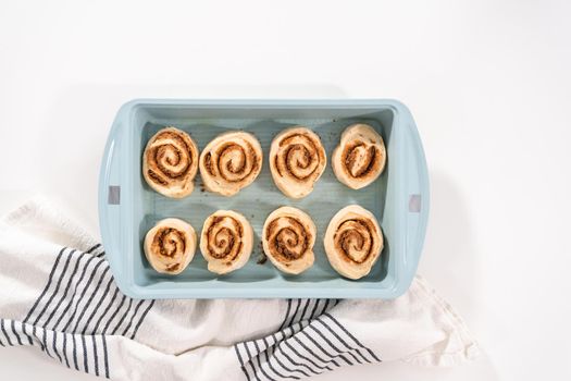 Unbaked cinnamon rolls in a blue baking pan.