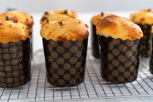 Cooling freshly baked mini Easter bread kulich on a kitchen counter.