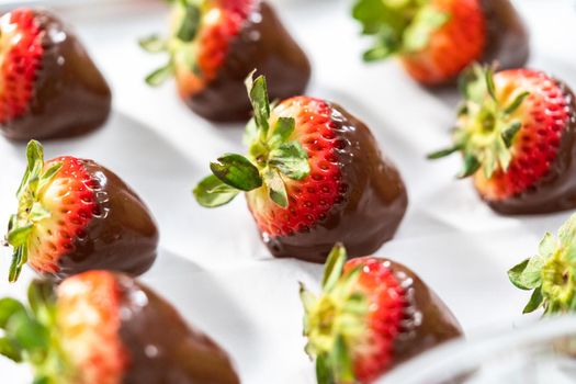 Making white and dark chocolate dipped strawberries.